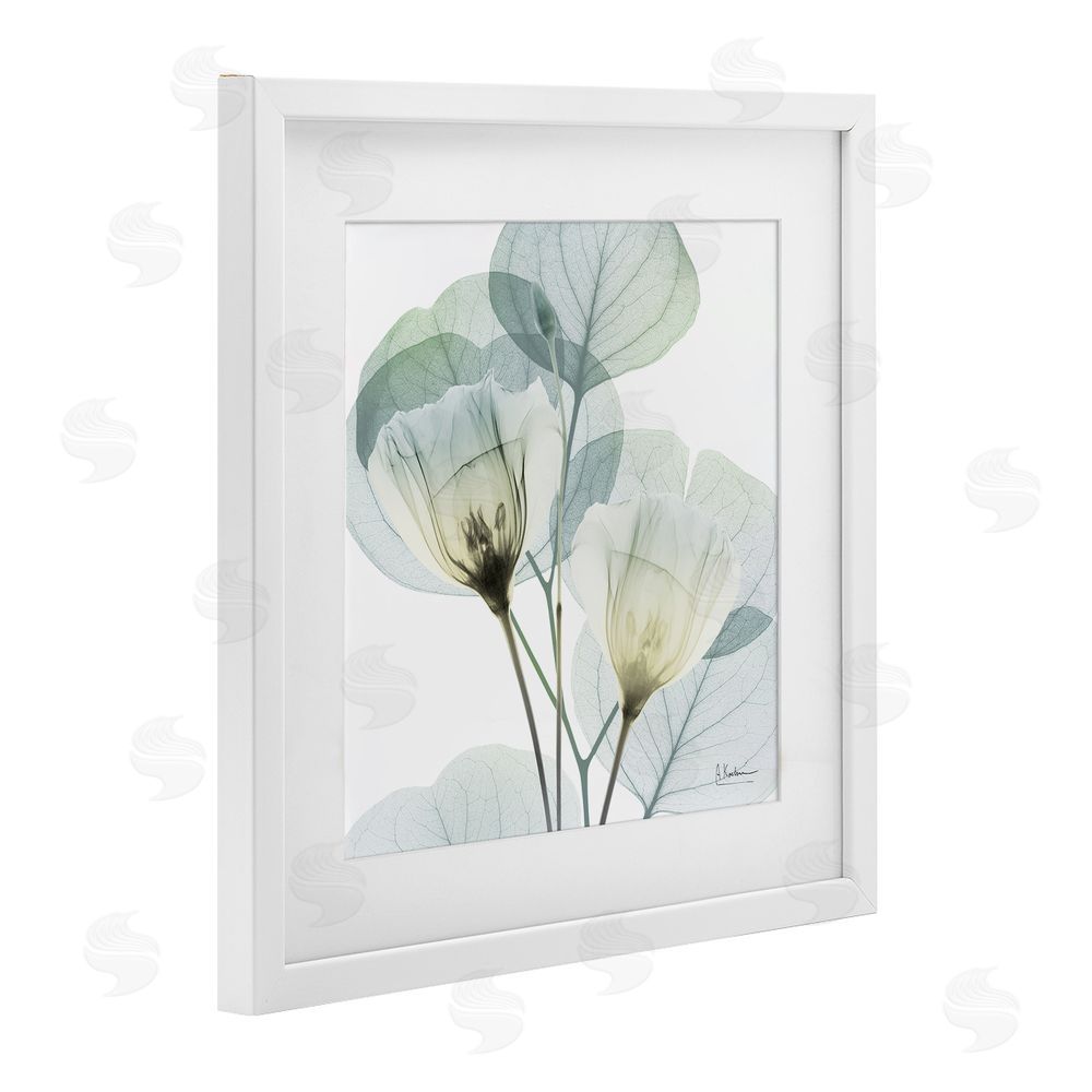 Albert Koetsier Divine Fate Flower Leaves White Framed Print Under Glass Wall Art