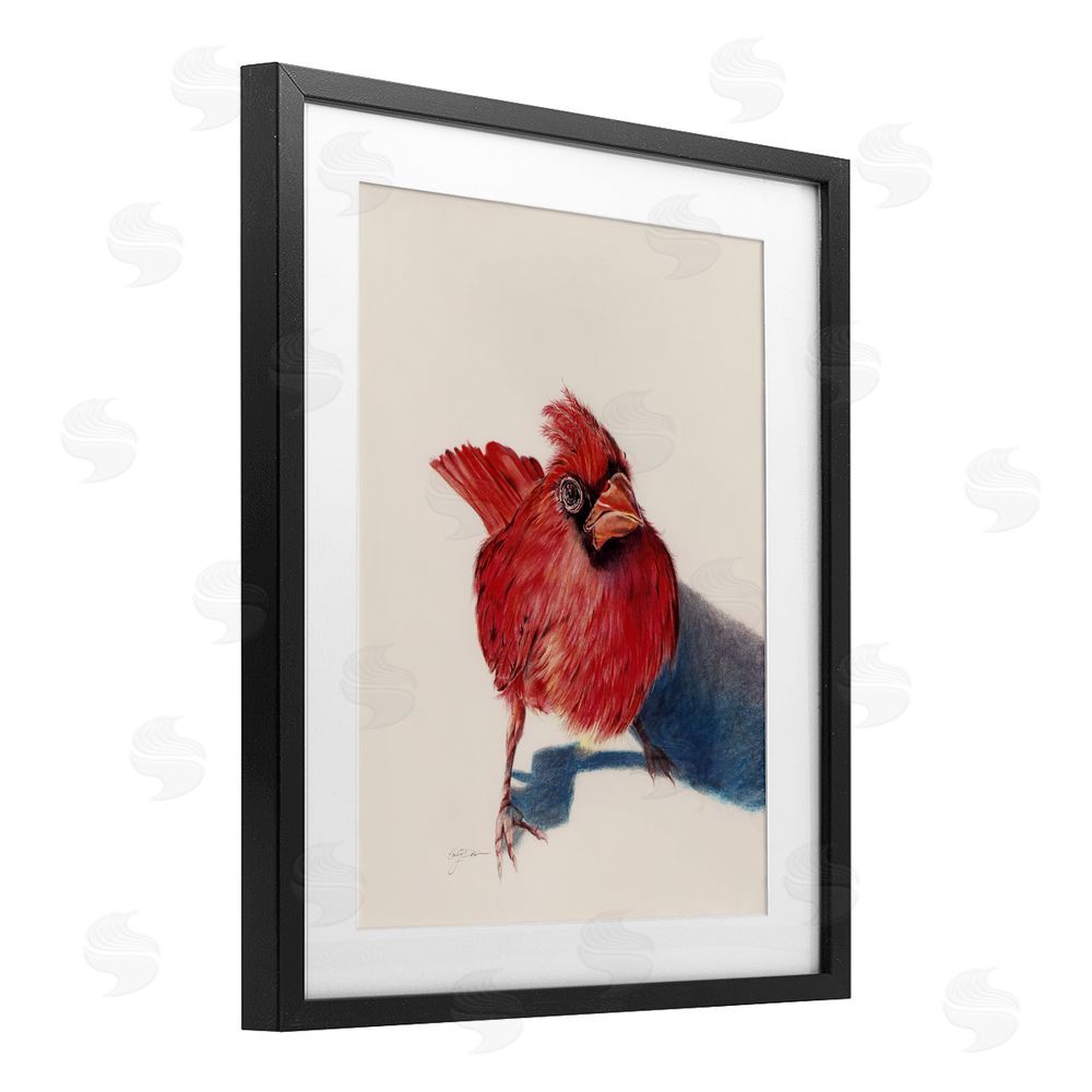 Cady Driver Standing Cardinal Bird Black Framed Print Under Glass with White Mat Wall Art
