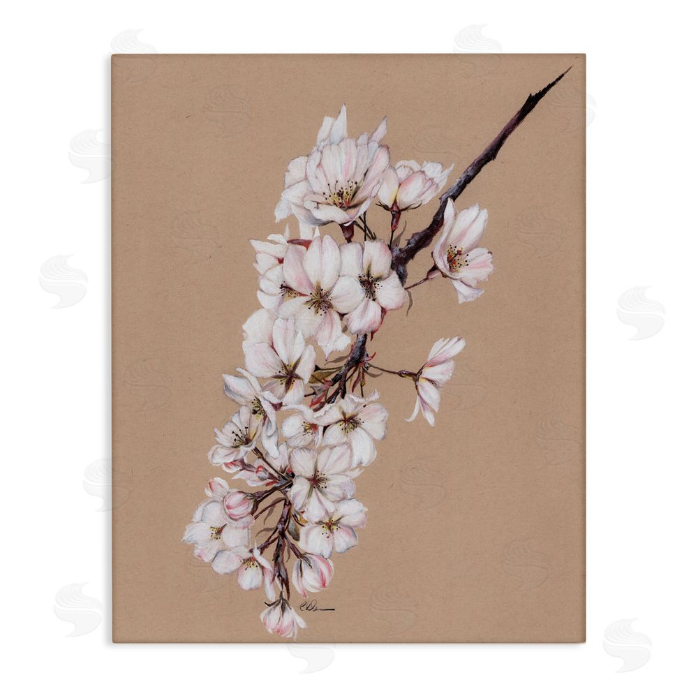 Cady Driver Delicate Spring Apple Blossoms Canvas Wall Art Print