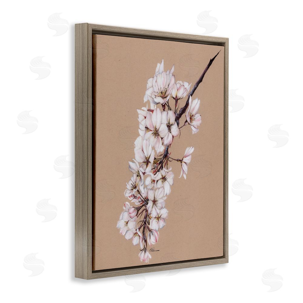 Cady Driver Delicate Spring Apple Blossoms Brown Floating Frame Canvas Wall Art Print