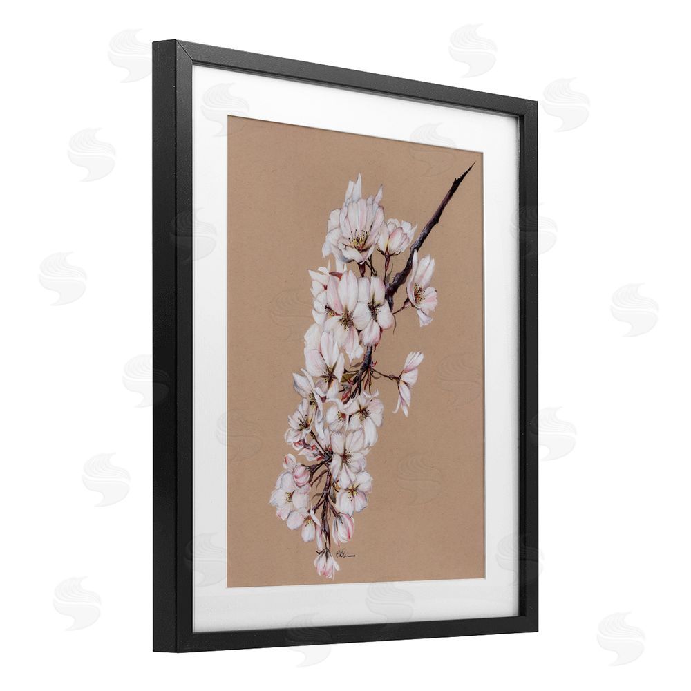 Cady Driver Delicate Spring Apple Blossoms Black Framed Print Under Glass with White Mat Wall Art
