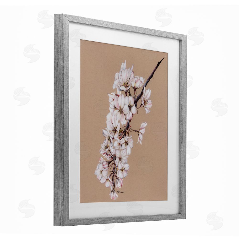 Cady Driver Delicate Spring Apple Blossoms Gray Framed Print Under Glass with White Mat Wall Art