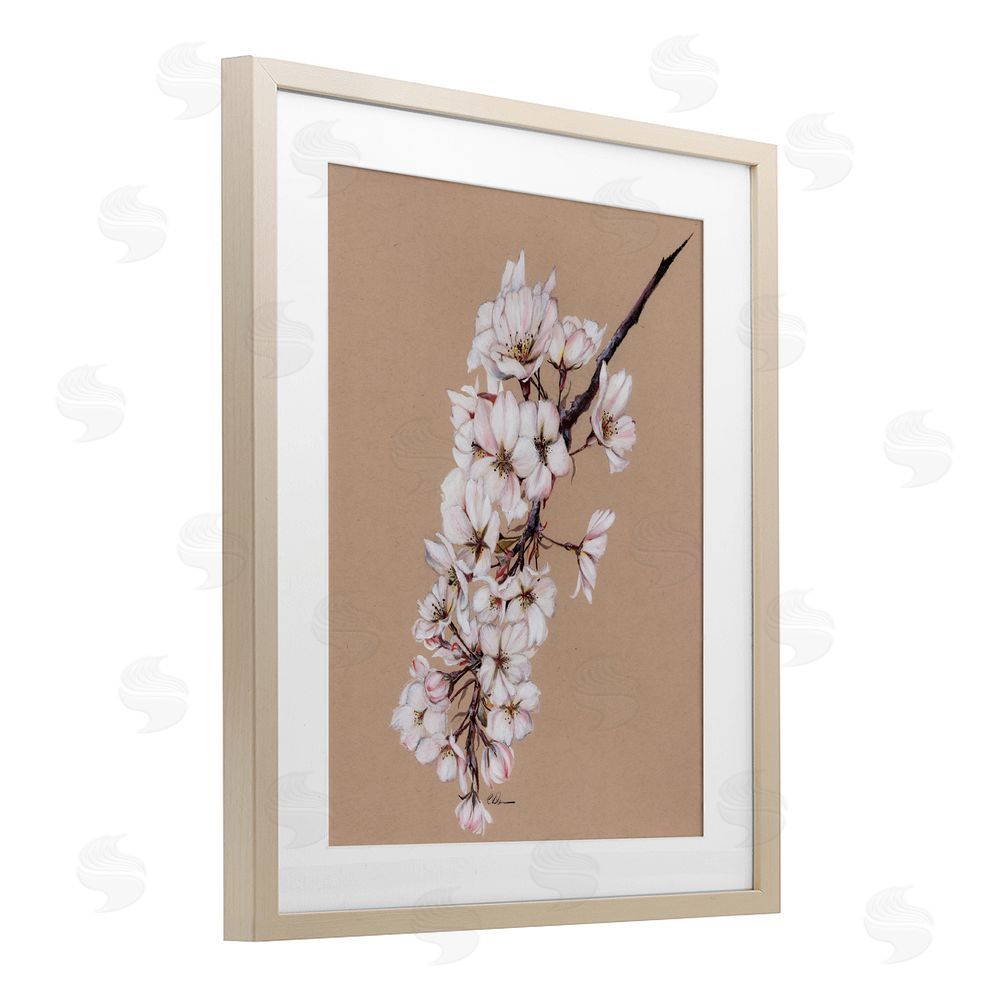 Cady Driver Delicate Spring Apple Blossoms Birch Framed Print Under Glass with White Mat Wall Art