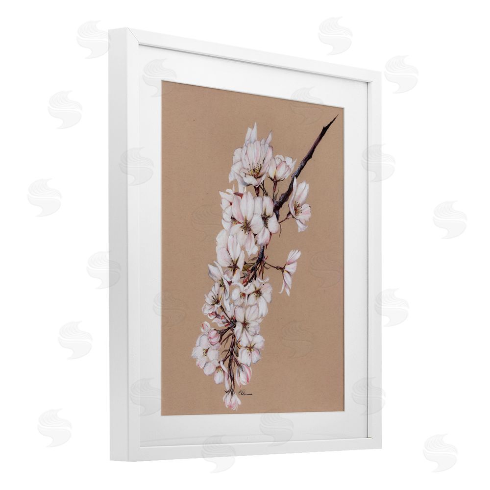 Cady Driver Delicate Spring Apple Blossoms White Framed Print Under Glass with Mat Wall Art