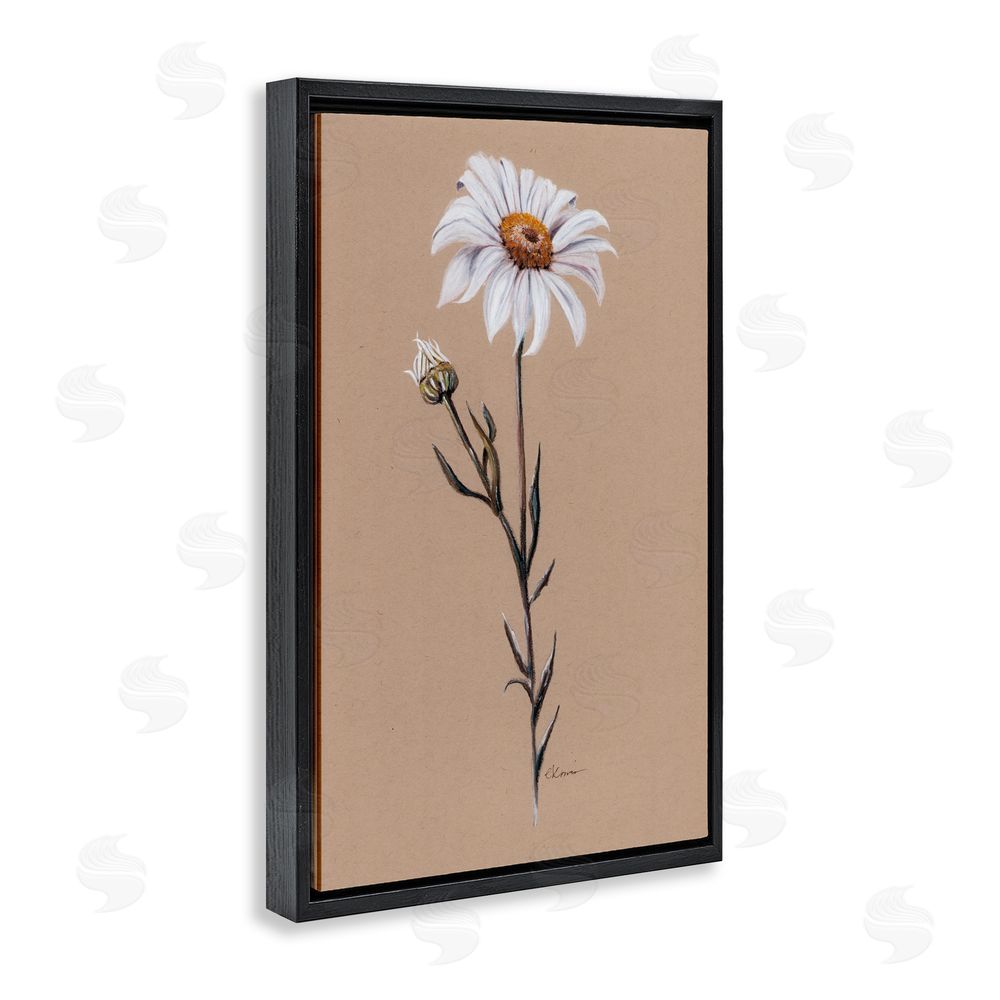 Cady Driver Daisy Sprout on Tan Black Floating Frame Canvas Wall Art Print