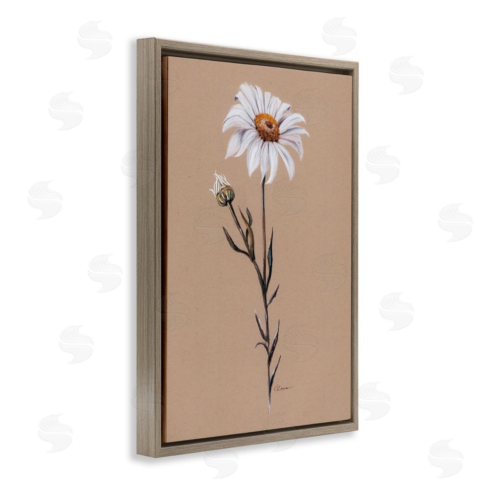 Cady Driver Daisy Sprout on Tan Brown Floating Frame Canvas Wall Art Print