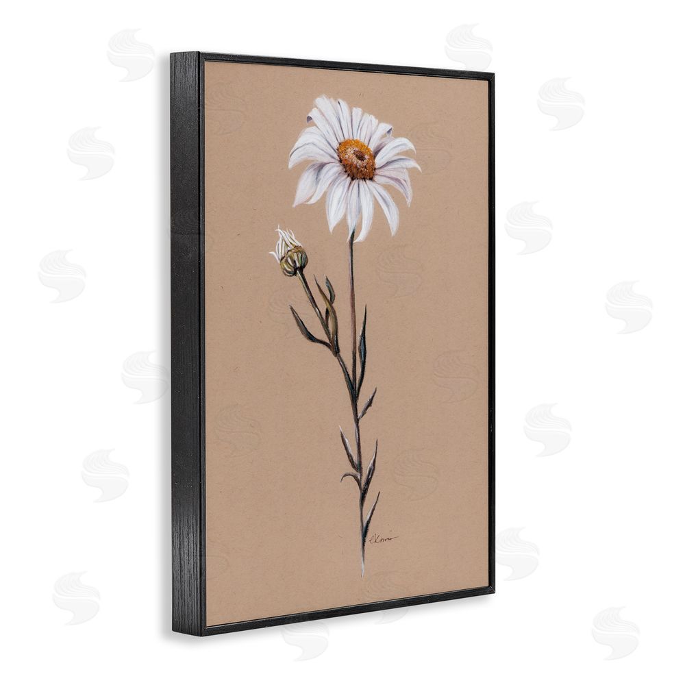 Cady Driver Daisy Sprout on Tan Black Framed Giclee Wall Art Print