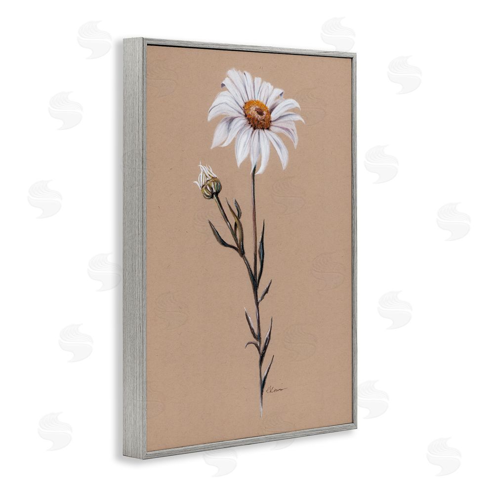 Cady Driver Daisy Sprout on Tan Gray Framed Giclee Wall Art Print