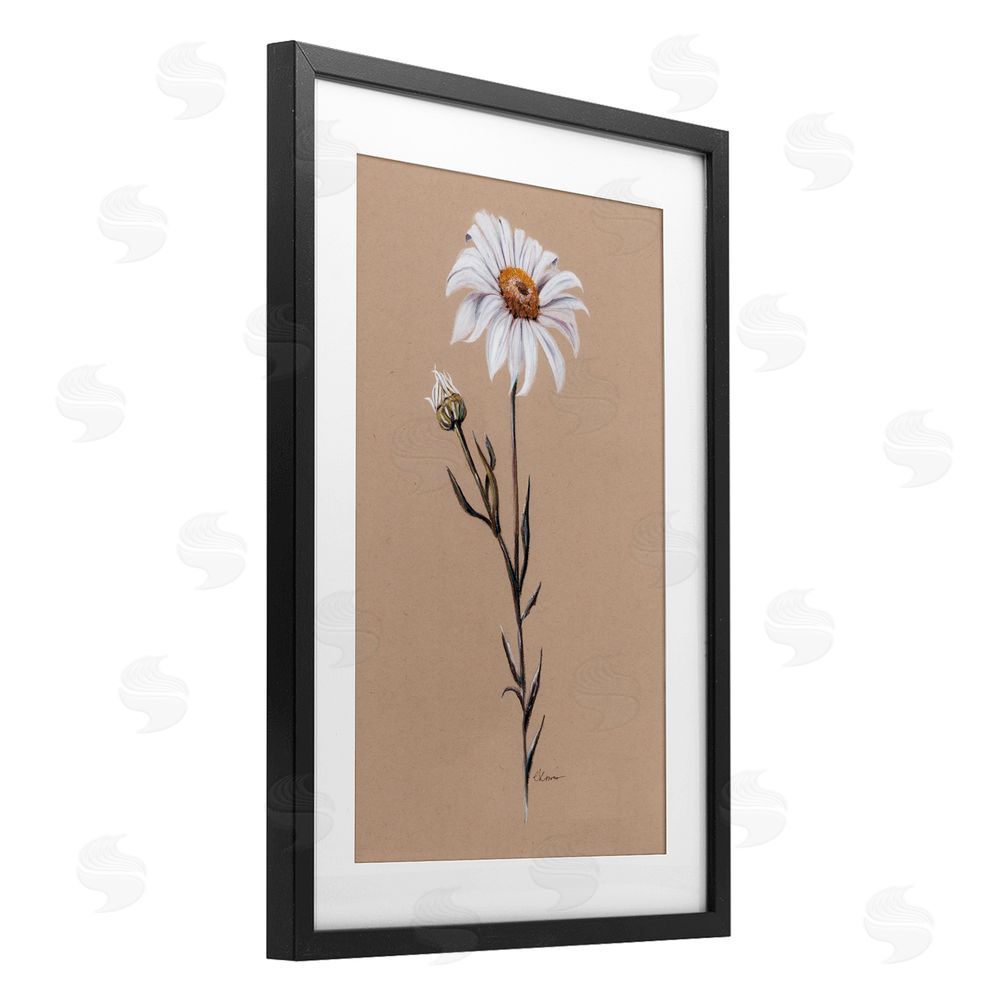 Cady Driver Daisy Sprout on Tan Black Framed Print Under Glass with White Mat Wall Art
