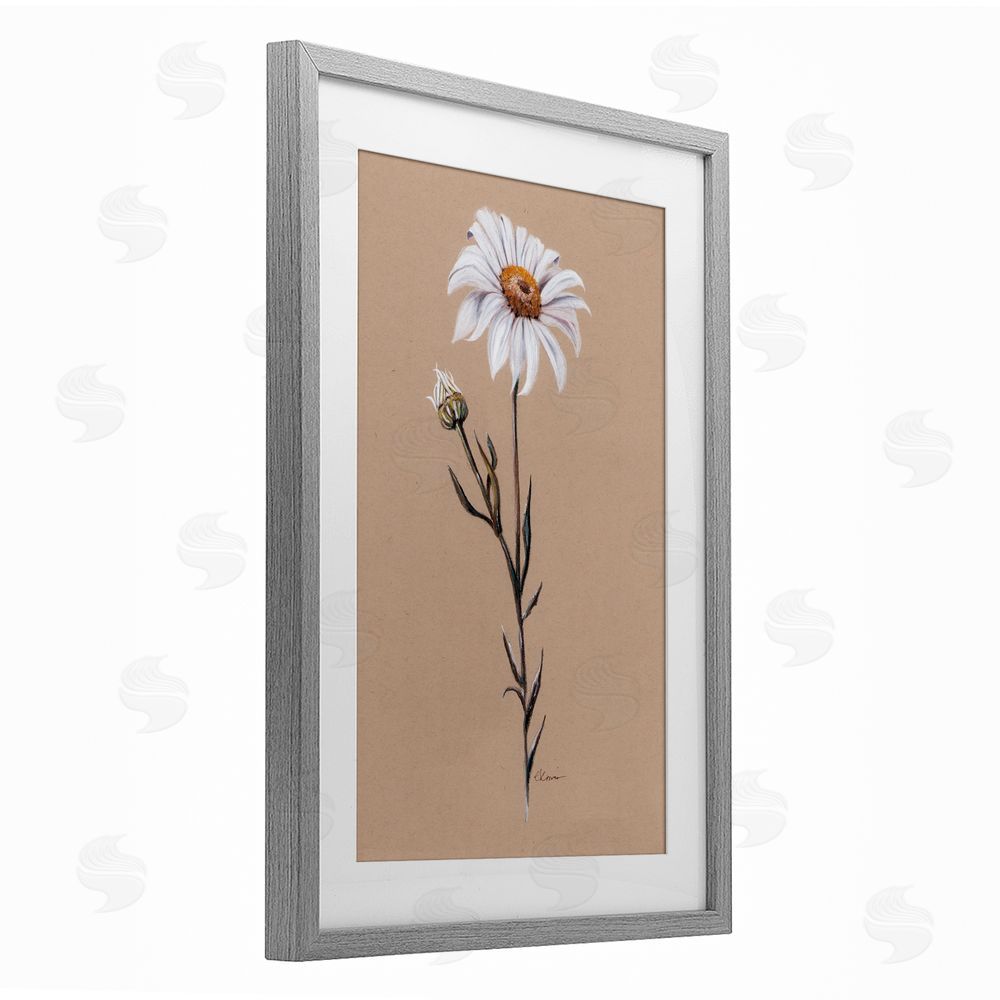 Cady Driver Daisy Sprout on Tan Gray Framed Print Under Glass with White Mat Wall Art