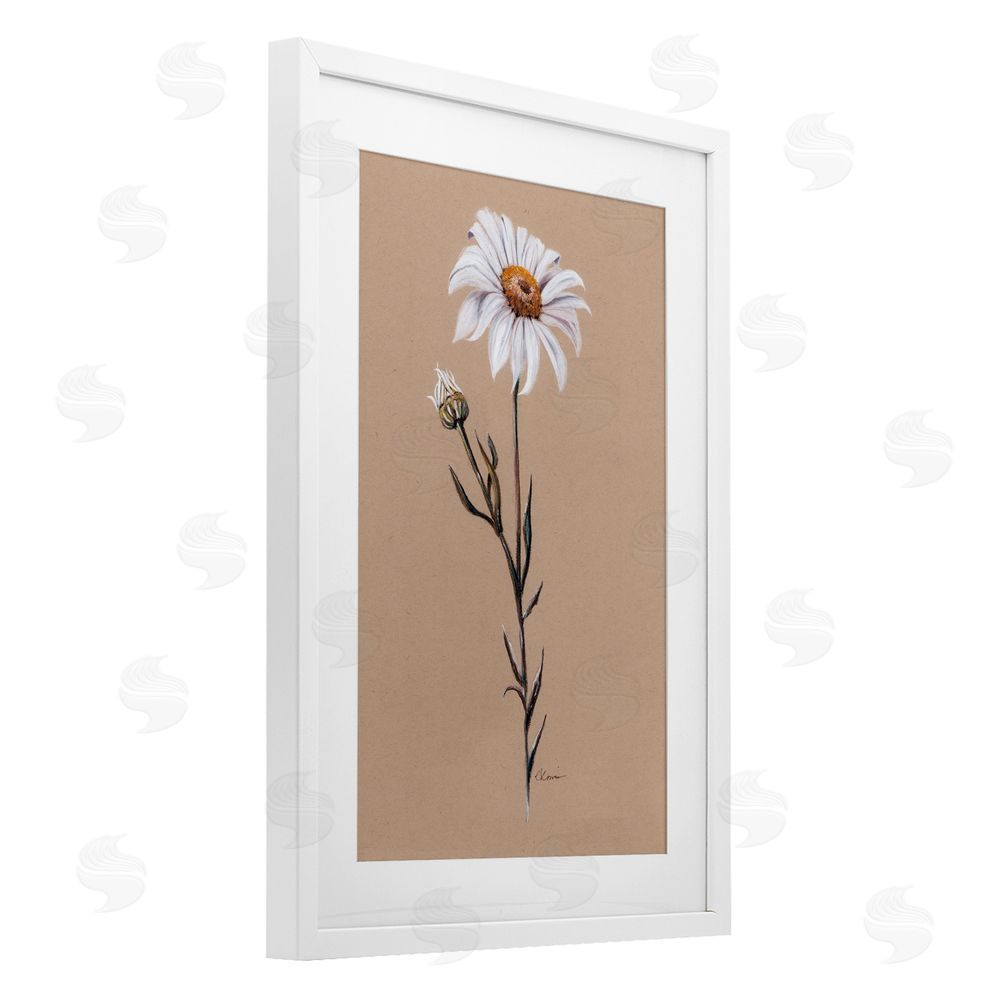 Cady Driver Daisy Sprout on Tan White Framed Print Under Glass with Mat Wall Art
