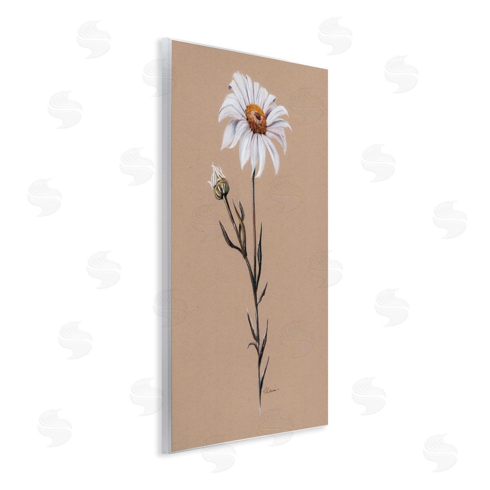 Cady Driver Daisy Sprout on Tan Wall Plaque Art Print