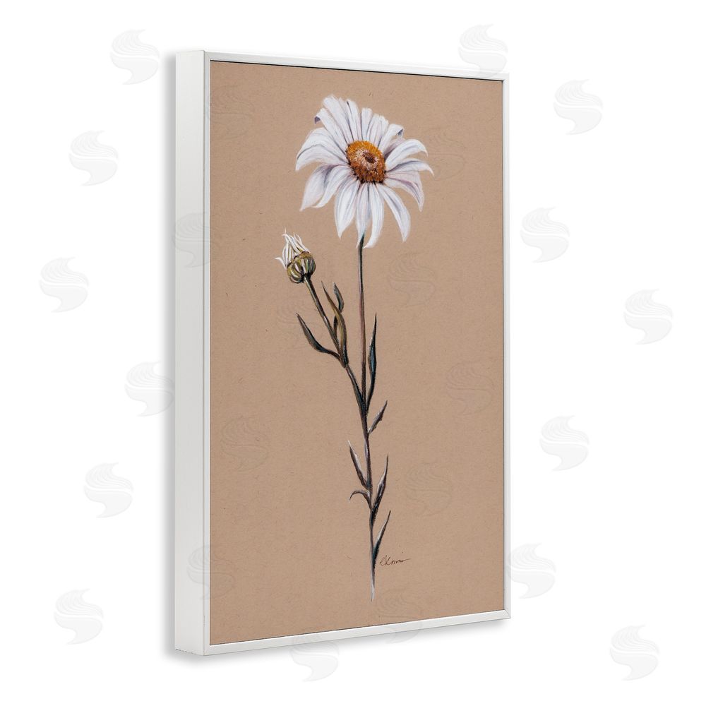Cady Driver Daisy Sprout on Tan White Framed Giclee Wall Art Print