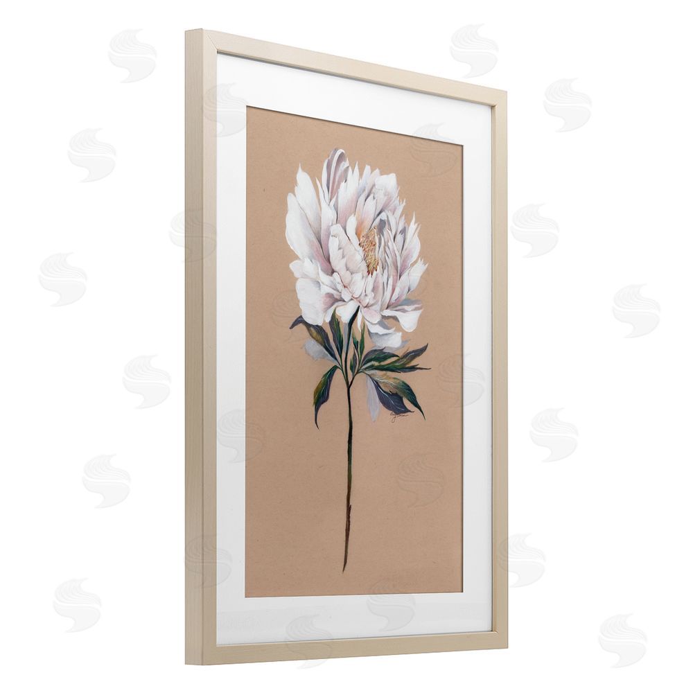 Cady Driver White Flower Branch Birch Framed Print Under Glass with White Mat Wall Art