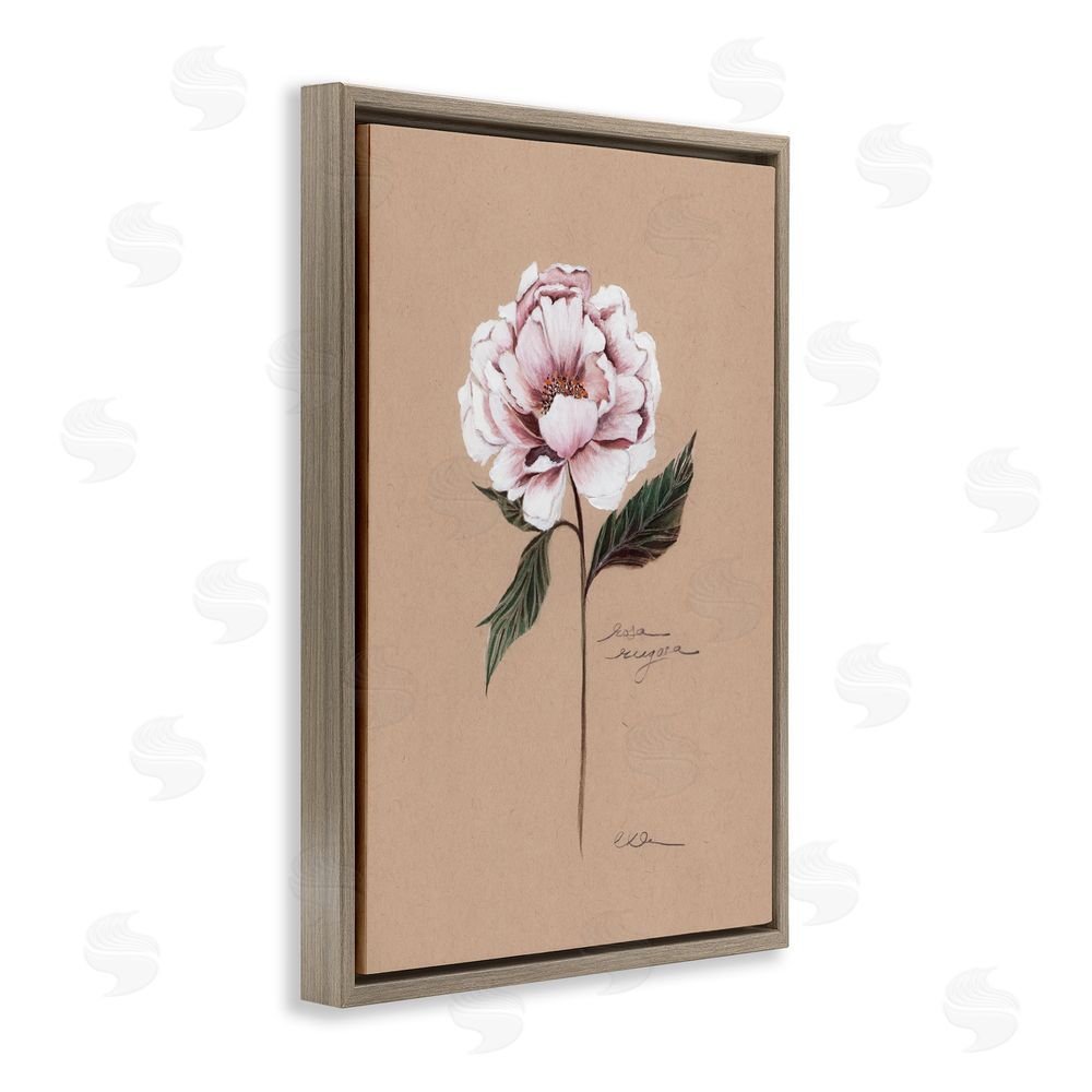 Cady Driver Vintage Flower Rounded Petals Brown Floating Frame Canvas Wall Art Print
