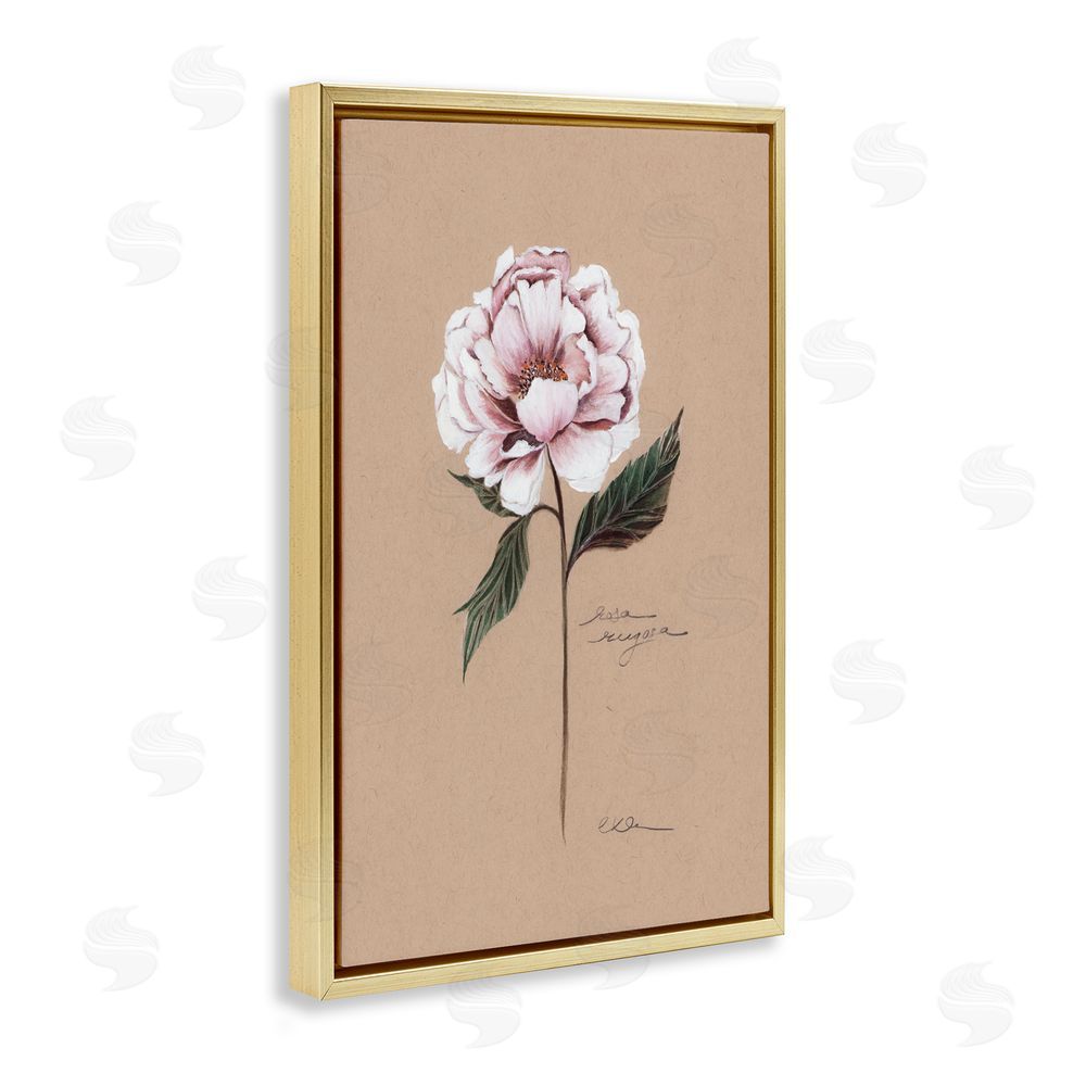 Cady Driver Vintage Flower Rounded Petals Gold Floating Frame Canvas Wall Art Print