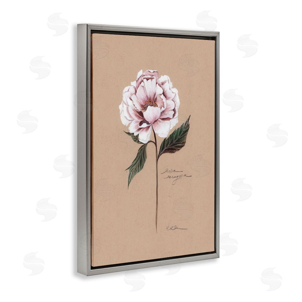 Cady Driver Vintage Flower Rounded Petals Gray Floating Frame Canvas Wall Art Print