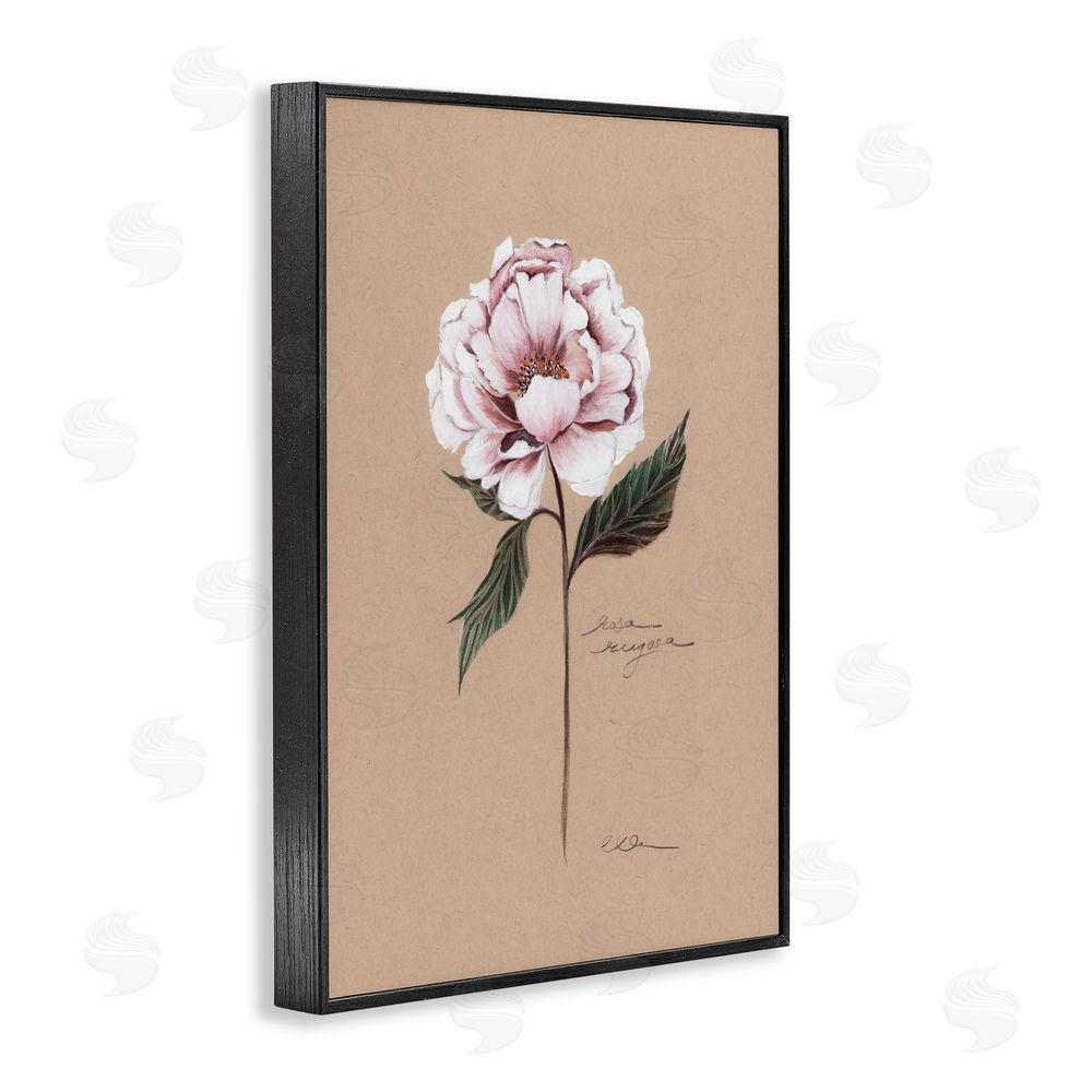 Cady Driver Vintage Flower Rounded Petals Black Framed Giclee Wall Art Print