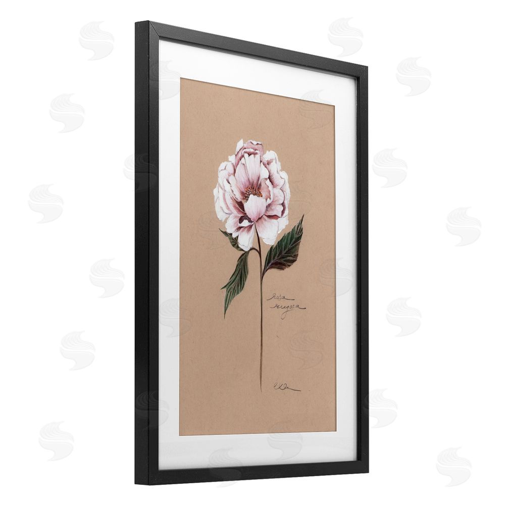 Cady Driver Vintage Flower Rounded Petals Black Framed Print Under Glass with White Mat Wall Art