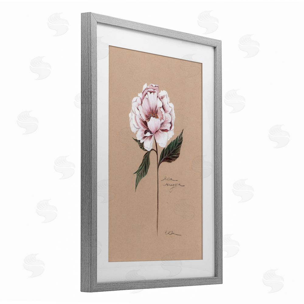 Cady Driver Vintage Flower Rounded Petals Gray Framed Print Under Glass with White Mat Wall Art