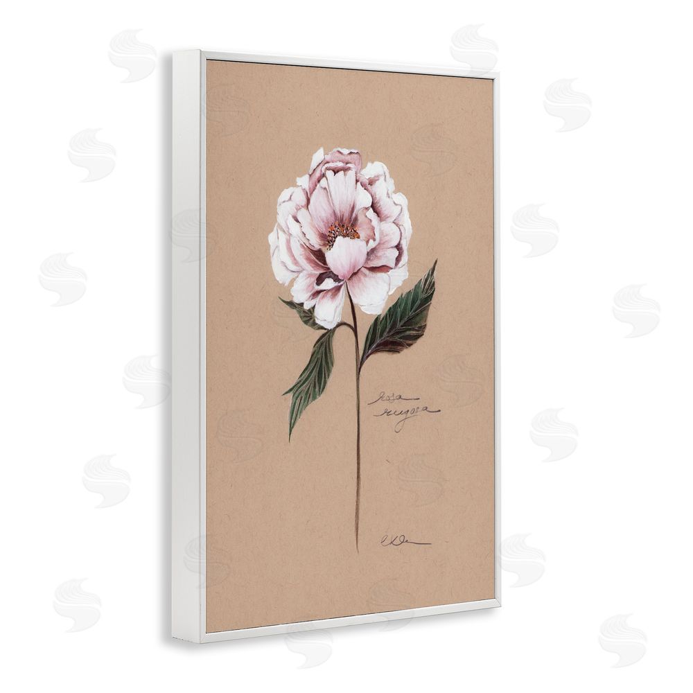 Cady Driver Vintage Flower Rounded Petals White Framed Giclee Wall Art Print