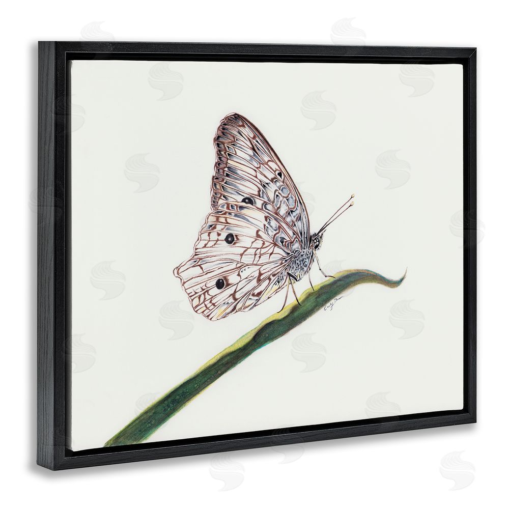 Cady Driver Intricate Butterfly on Twig Black Floating Frame Canvas Wall Art Print