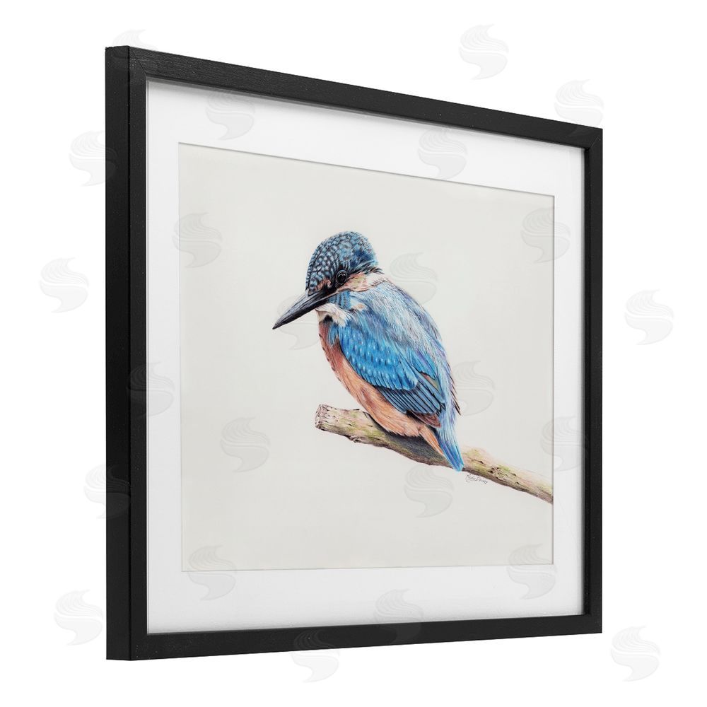 Cady Driver Vibrant Kingfisher on Branch Black Framed Print Under Glass with White Mat Wall Art