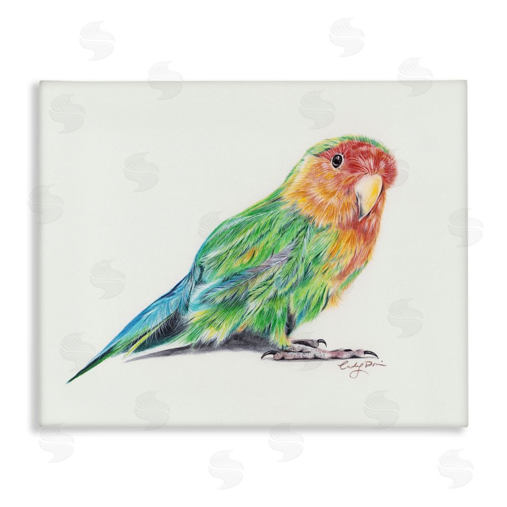 Cady Driver Rainbow Gradient Parakeet Canvas Wall Art Print