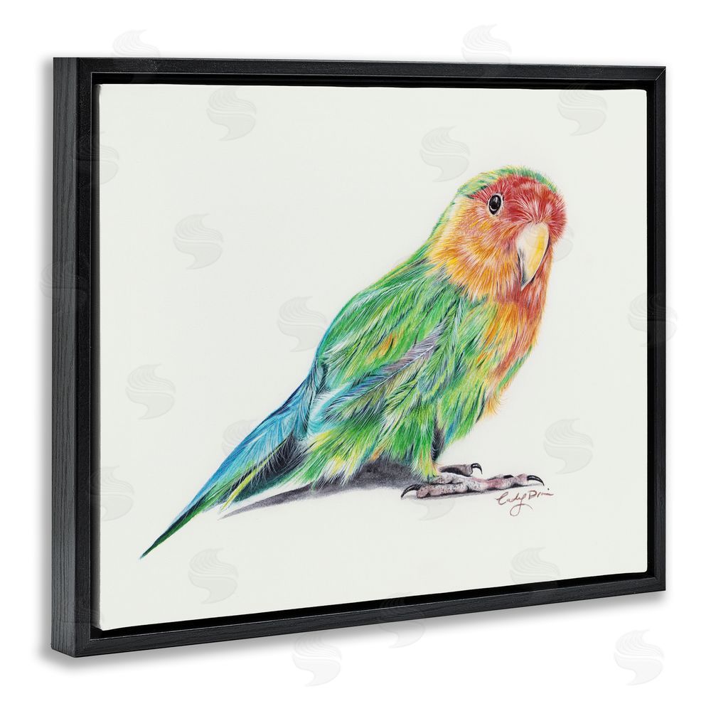 Cady Driver Rainbow Gradient Parakeet Black Floating Frame Canvas Wall Art Print