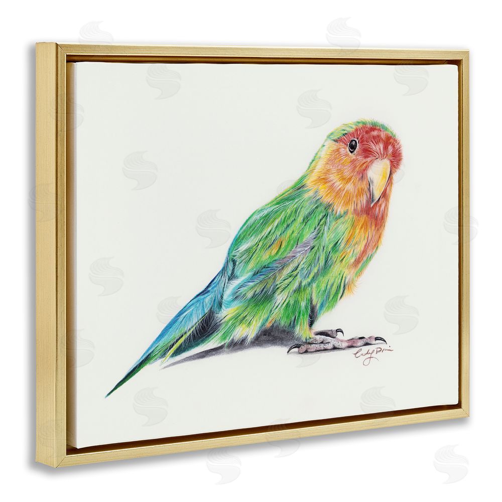 Cady Driver Rainbow Gradient Parakeet Gold Floating Frame Canvas Wall Art Print