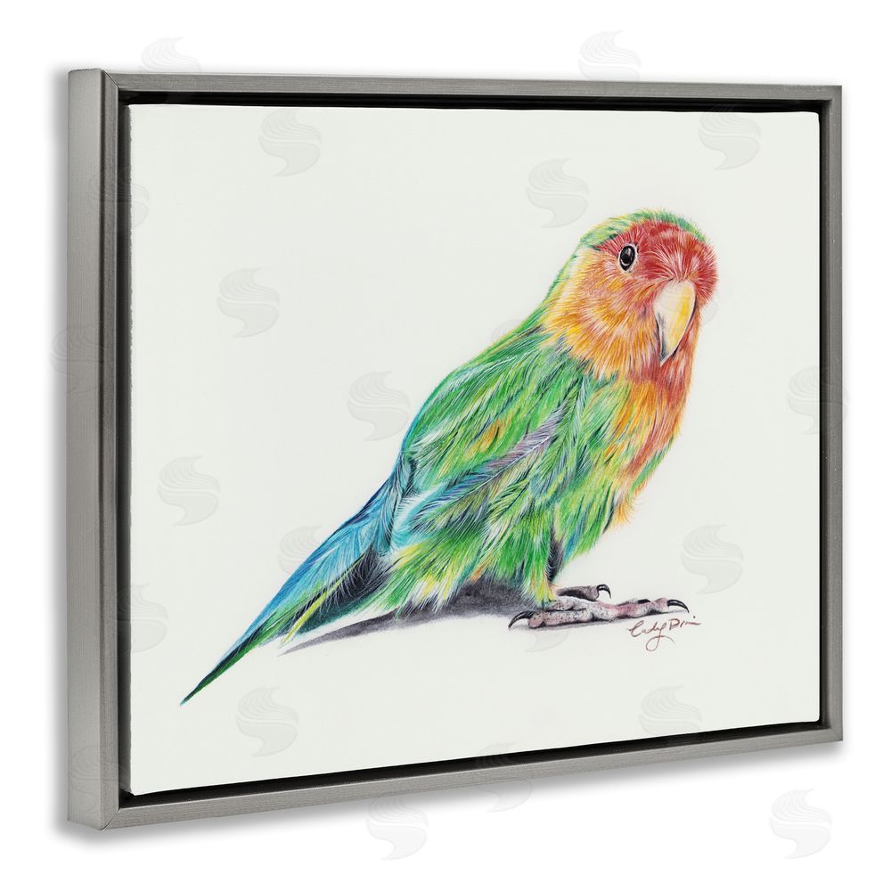 Cady Driver Rainbow Gradient Parakeet Gray Floating Frame Canvas Wall Art Print