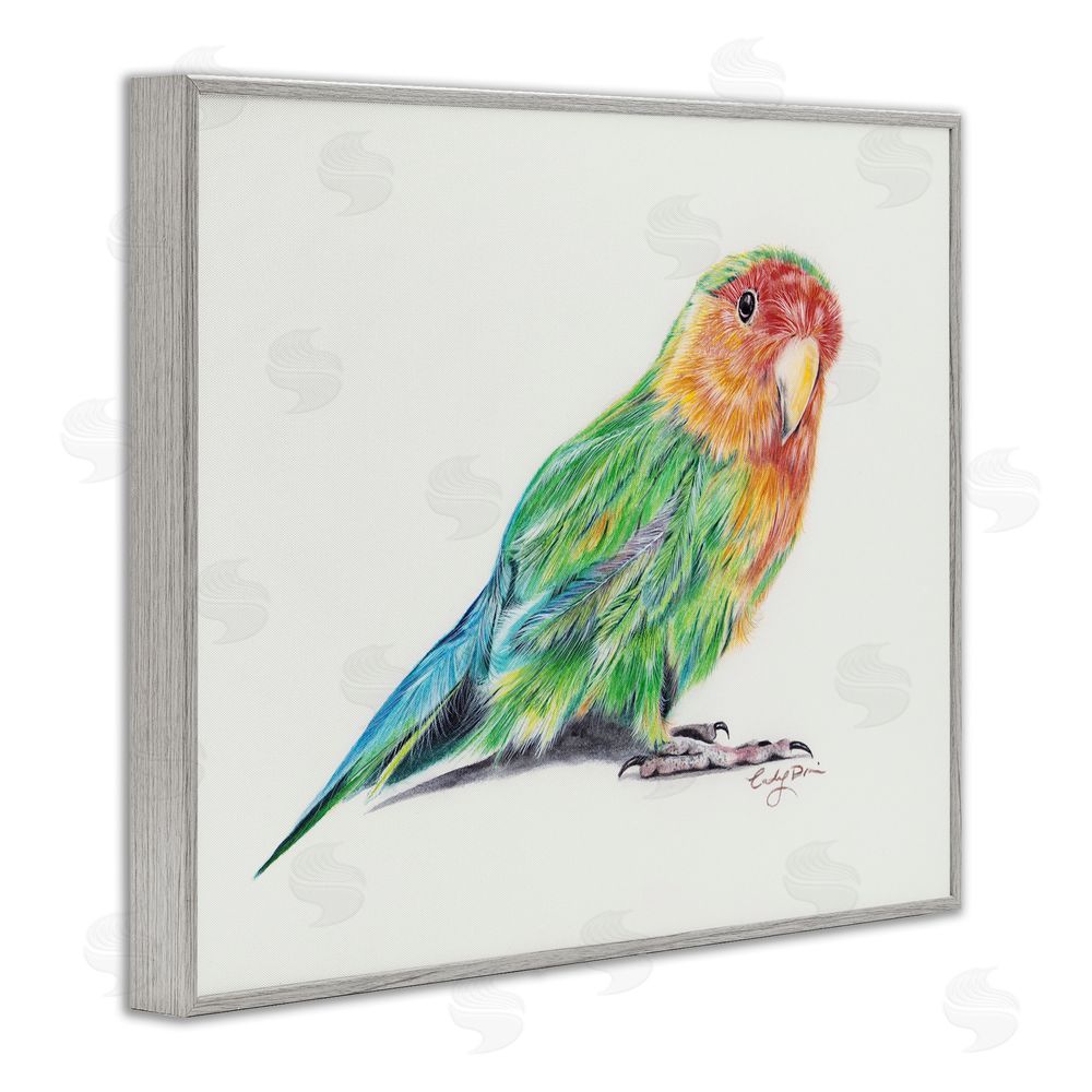 Cady Driver Rainbow Gradient Parakeet Gray Framed Giclee Wall Art Print