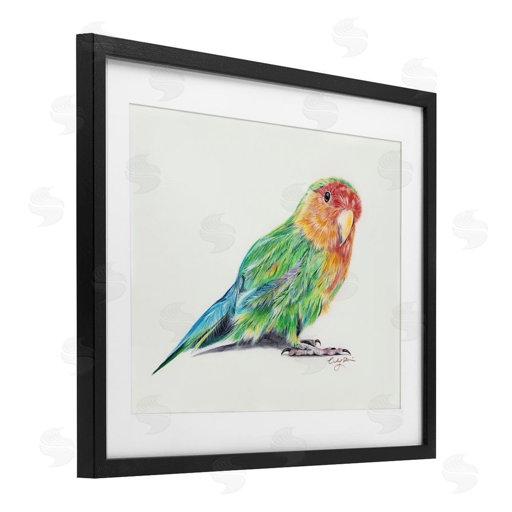 Cady Driver Rainbow Gradient Parakeet Black Framed Print Under Glass with White Mat Wall Art