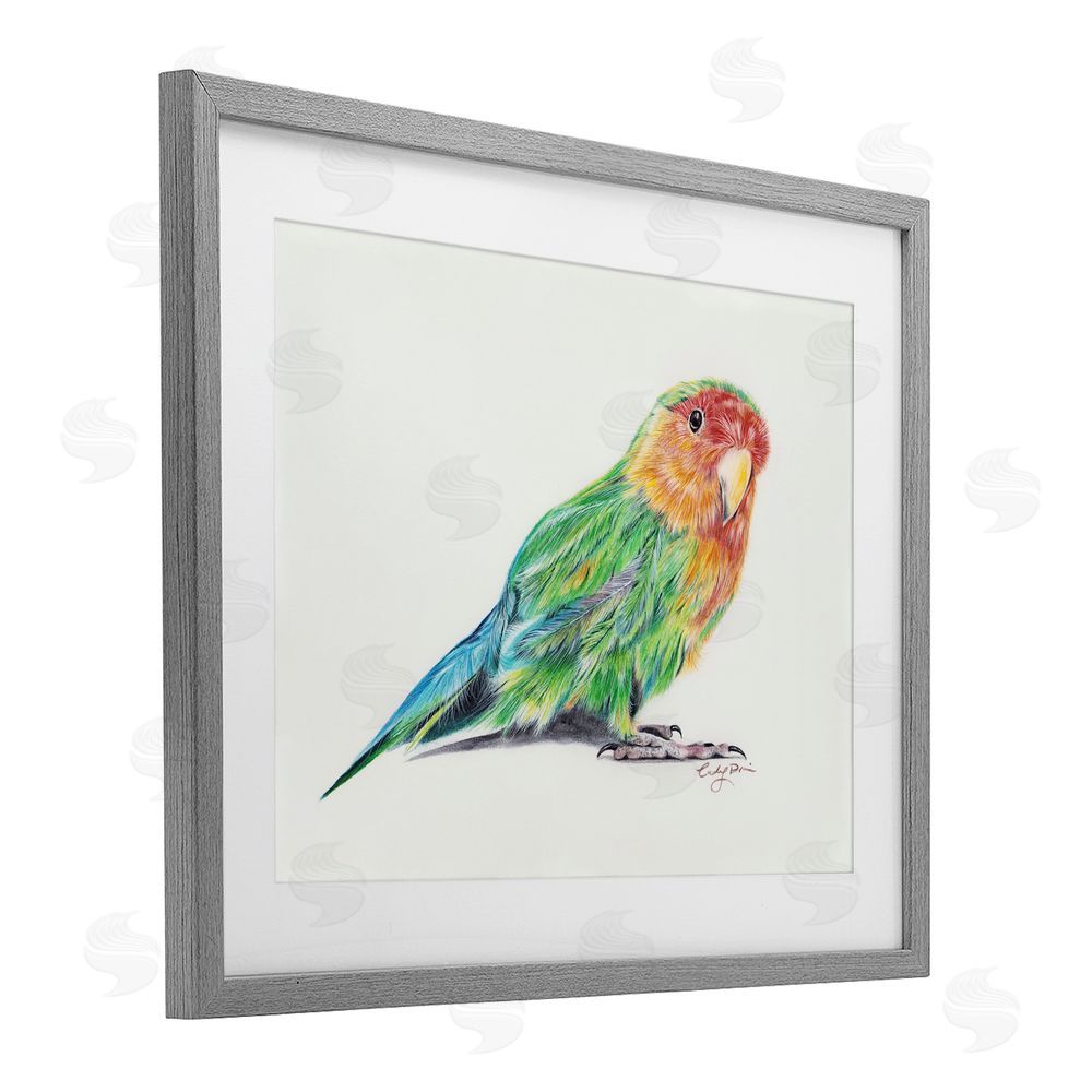Cady Driver Rainbow Gradient Parakeet Gray Framed Print Under Glass with White Mat Wall Art