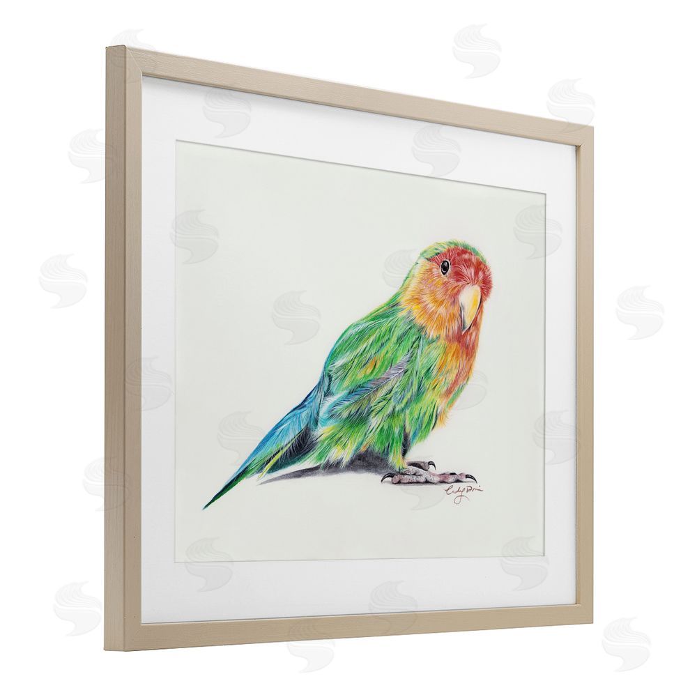 Cady Driver Rainbow Gradient Parakeet Birch Framed Print Under Glass with White Mat Wall Art