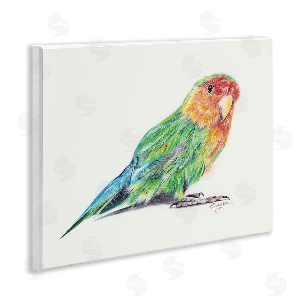 Cady Driver Rainbow Gradient Parakeet Wall Plaque Art Print