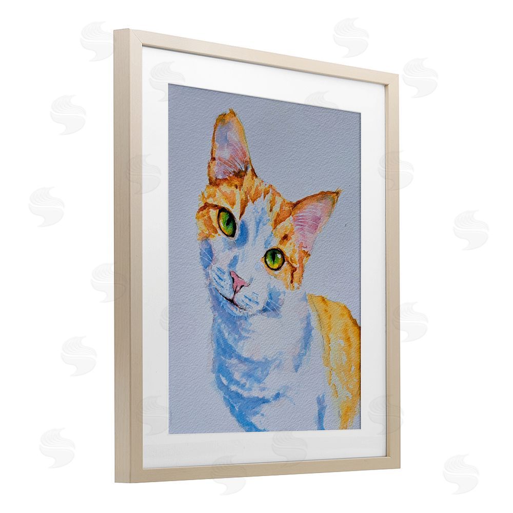 Tatiana Roberts Gazing Orange Cat Portrait Birch Framed Print Under Glass with White Mat Wall Art