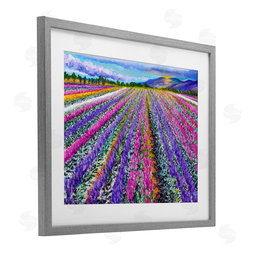 Lee Ann Zirbes Fragrant Lavender Farm Gray Framed Print Under Glass with White Mat Wall Art