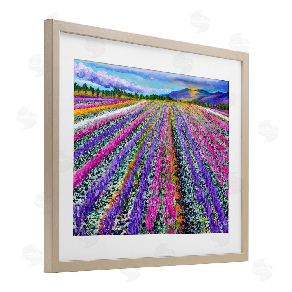 Lee Ann Zirbes Fragrant Lavender Farm Birch Framed Print Under Glass with White Mat Wall Art