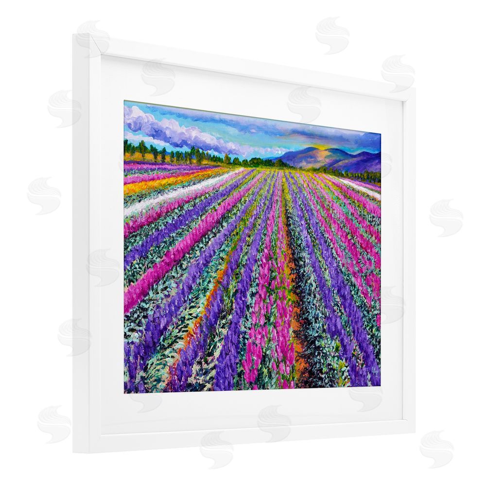 Lee Ann Zirbes Fragrant Lavender Farm White Framed Print Under Glass with Mat Wall Art
