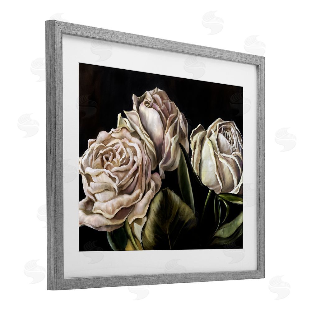 Mary Sparrow Fading Beauty White Roses Gray Framed Print Under Glass with White Mat Wall Art
