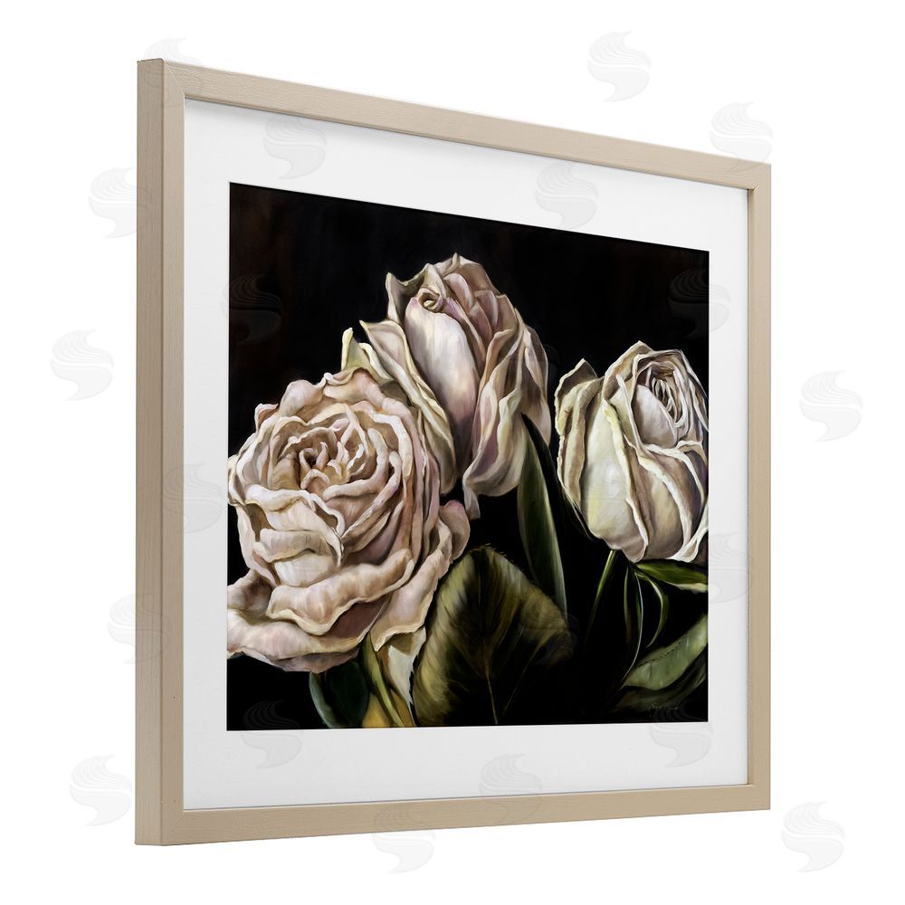 Mary Sparrow Fading Beauty White Roses Birch Framed Print Under Glass with White Mat Wall Art