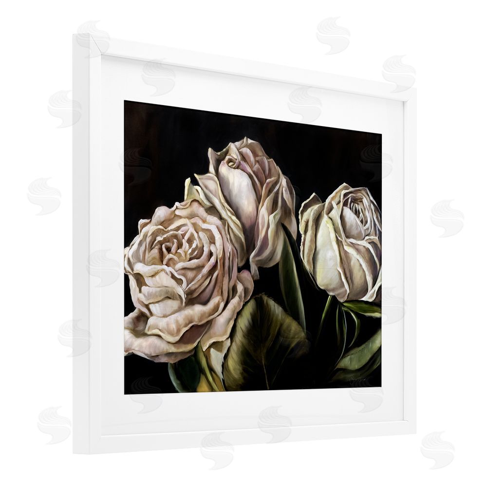 Mary Sparrow Fading Beauty White Roses White Framed Print Under Glass with Mat Wall Art