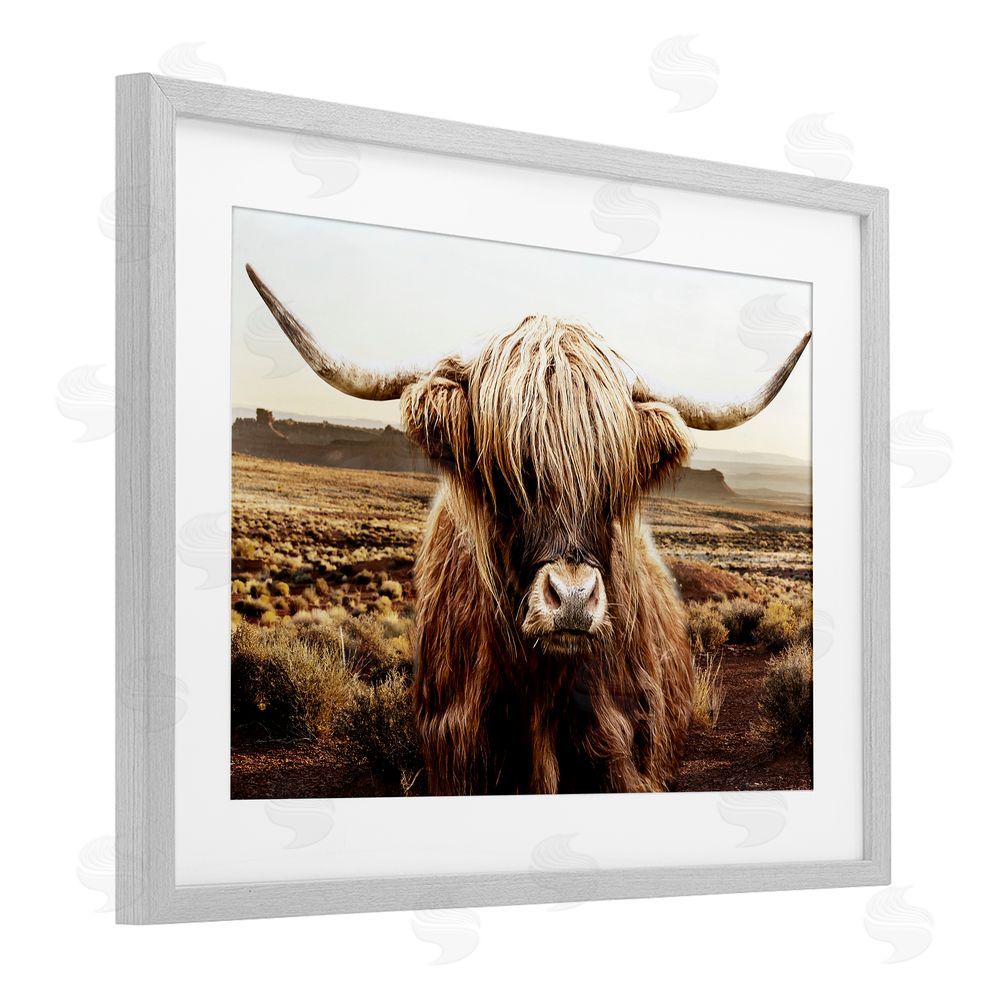 CAD Designs Rugged Vegetation Cattle Portrait Gray Framed Print Under Glass Wall Art