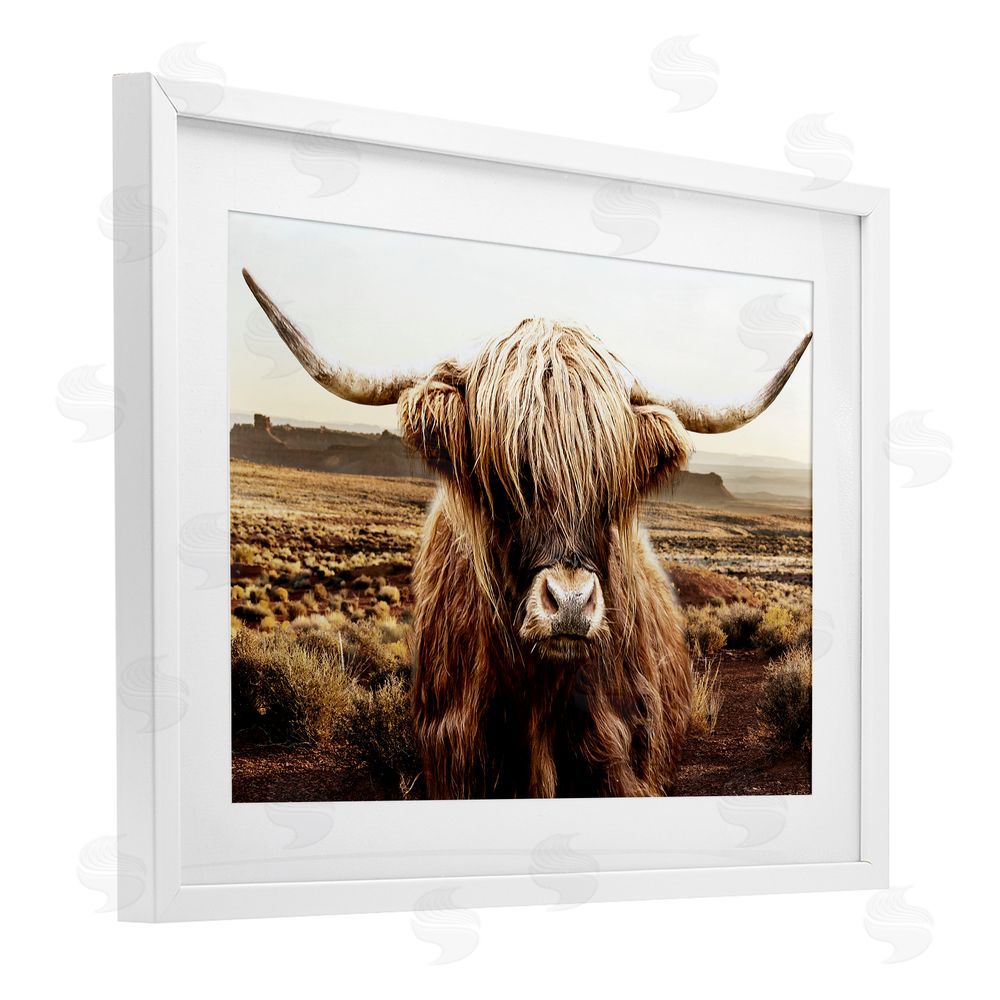 CAD Designs Rugged Vegetation Cattle Portrait White Framed Print Under Glass Wall Art