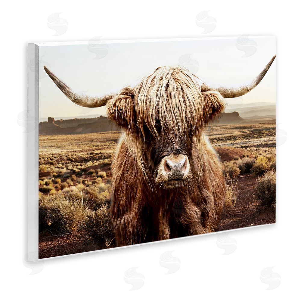 CAD Designs Rugged Vegetation Cattle Portrait Wooden Wall Plaque Art Print