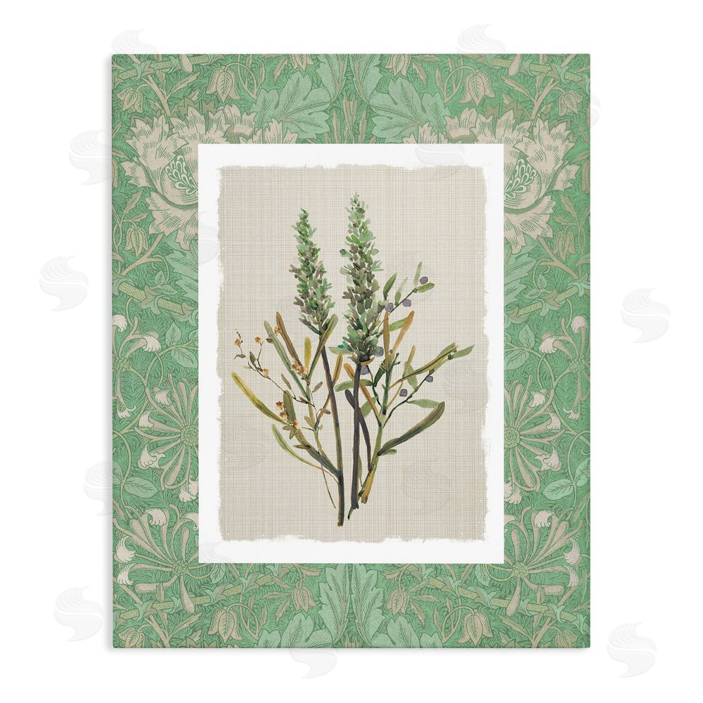 Carol Robinson Antique Foliage in Green Stretched Canvas Wall Art Print