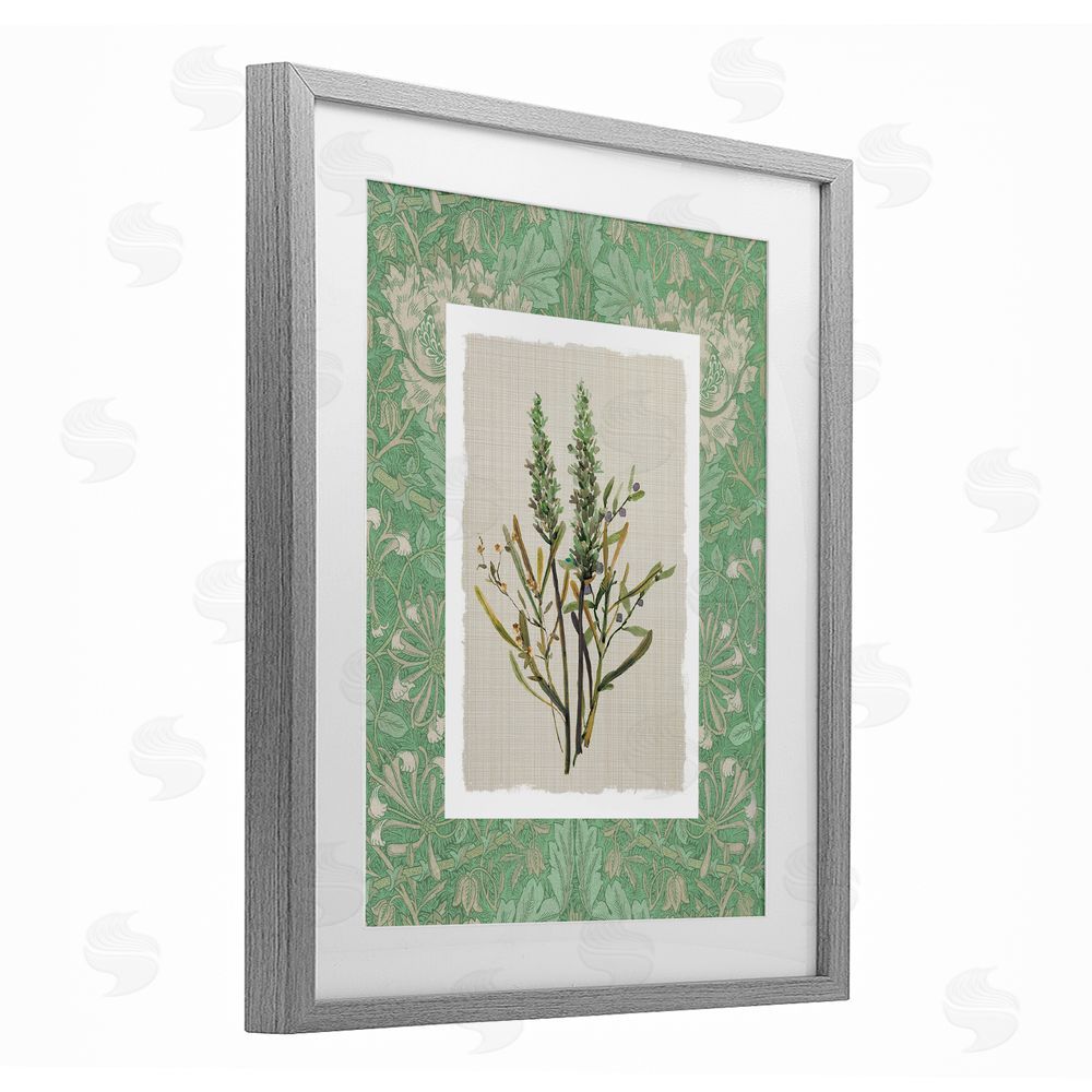 Carol Robinson Antique Foliage in Green Gray Framed Print Under Glass Wall Art