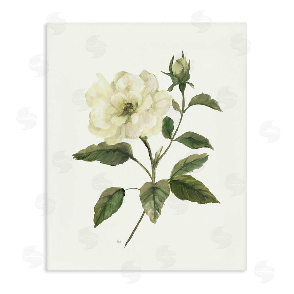 Nan Ivory Rose Bloom With Green Foliage Stretched Canvas Wall Art Print