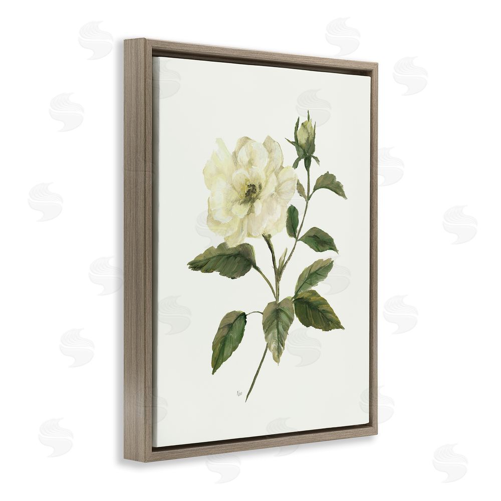Nan Ivory Rose Bloom With Green Foliage Brown Floating Frame Canvas Wall Art Print